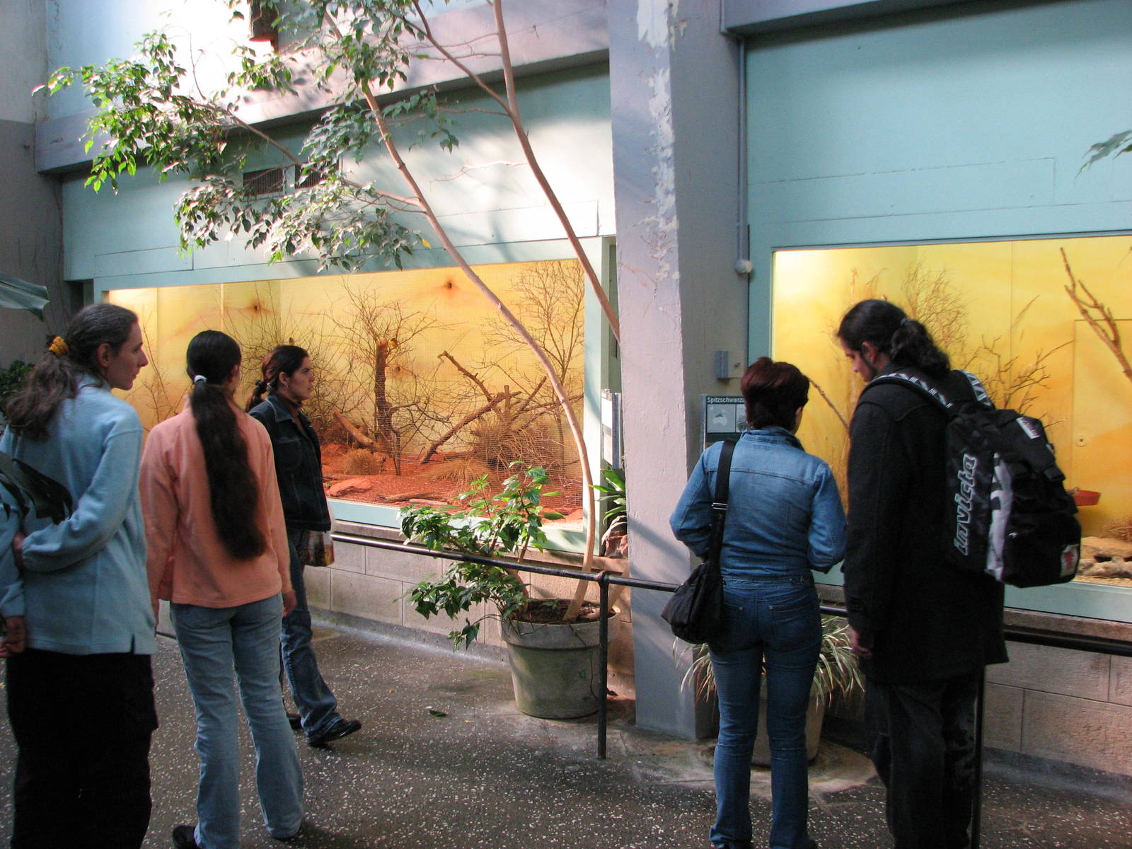 Basel Zoo 2006 - Inside the Bird House