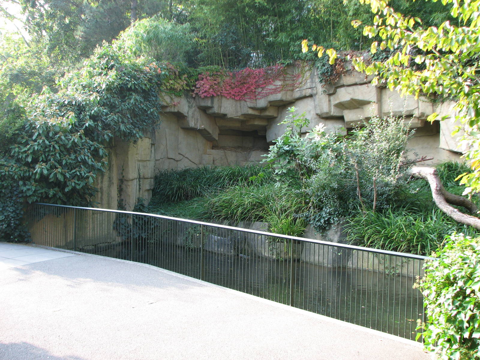 Basel Zoo 2006 - Lemur exhibit from the right