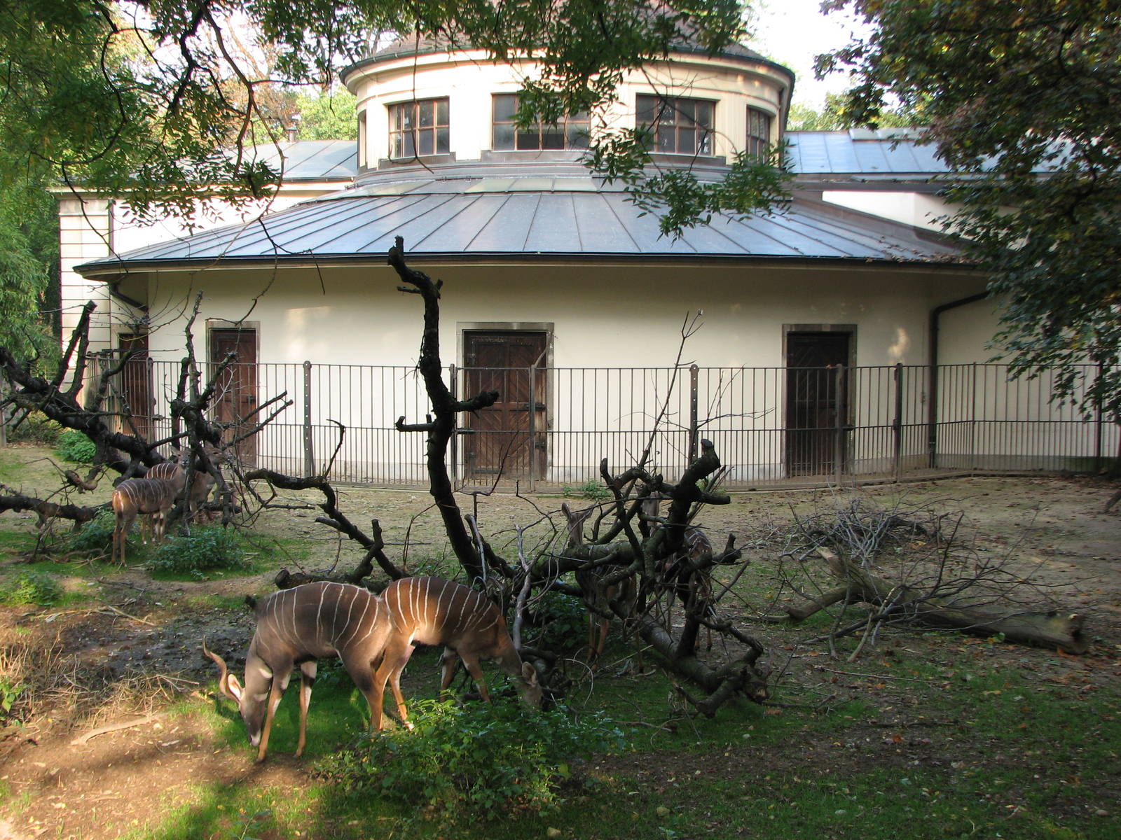 Basel Zoo 2006 - Lesser Kudu exhibit at the historic Antelope House