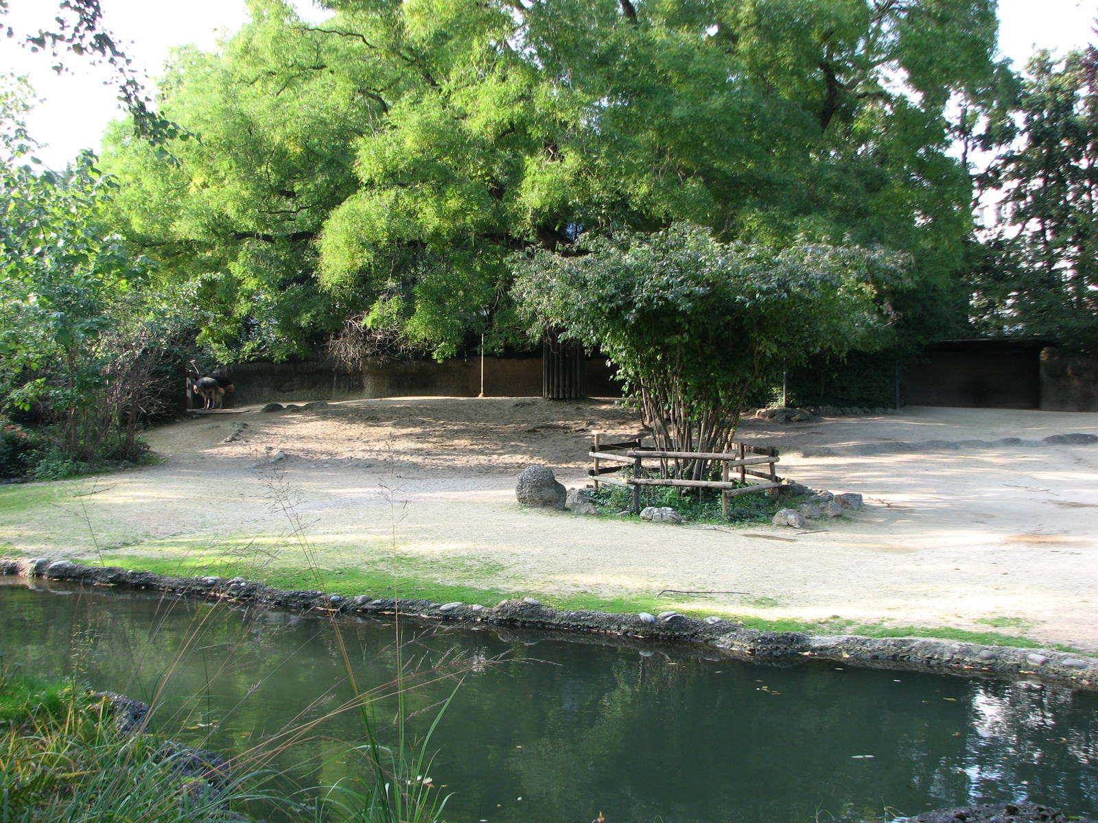 Basel Zoo 2006 - Mixed African exhibit