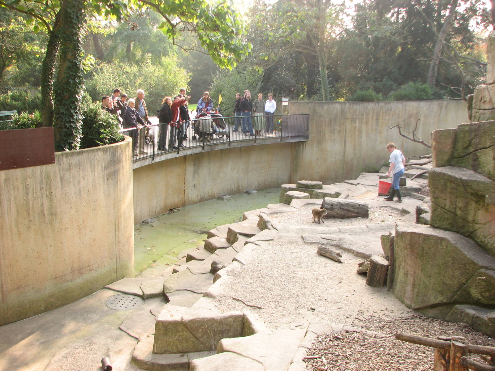 Basel Zoo 2006 - Monkey exhibit