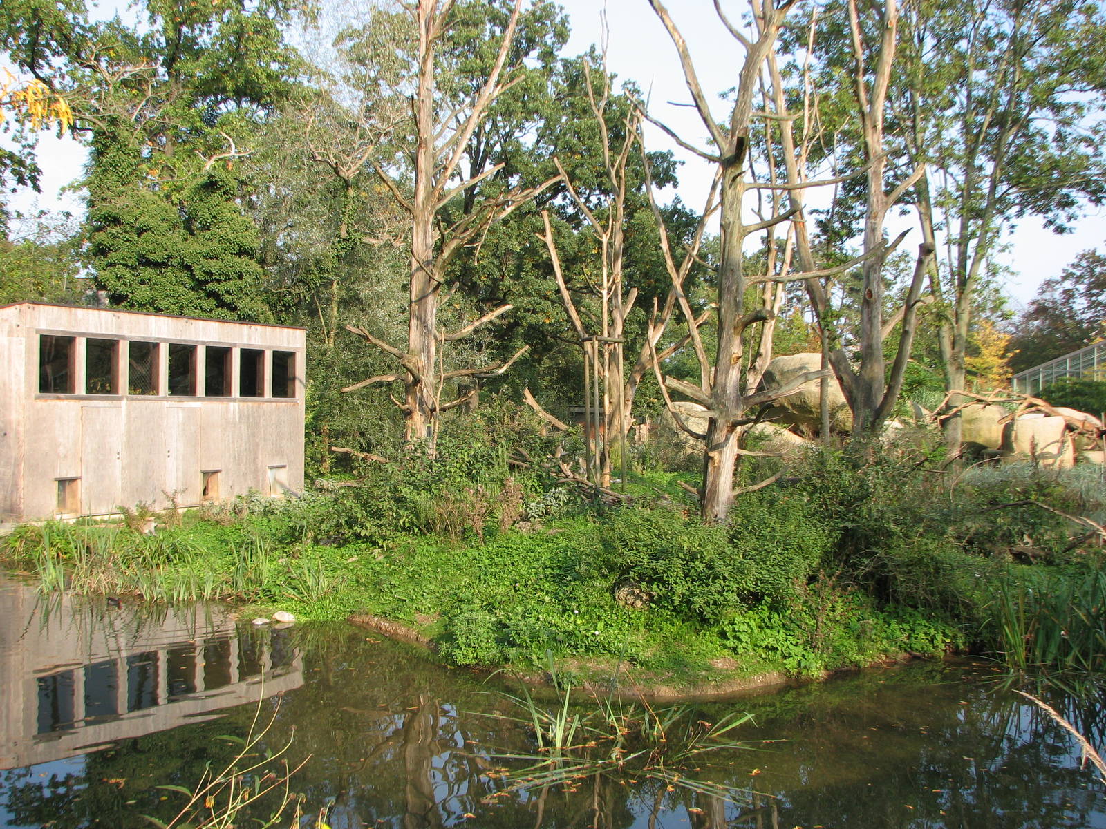 Basel Zoo 2006 - Monkey Island