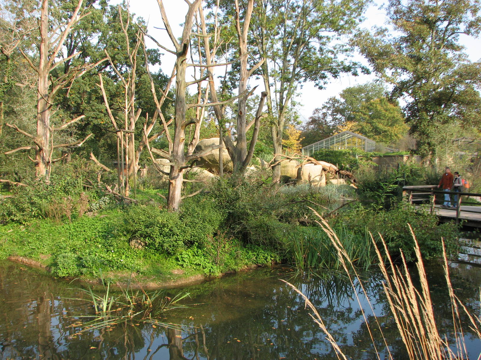 Basel Zoo 2006 - Monkey Island