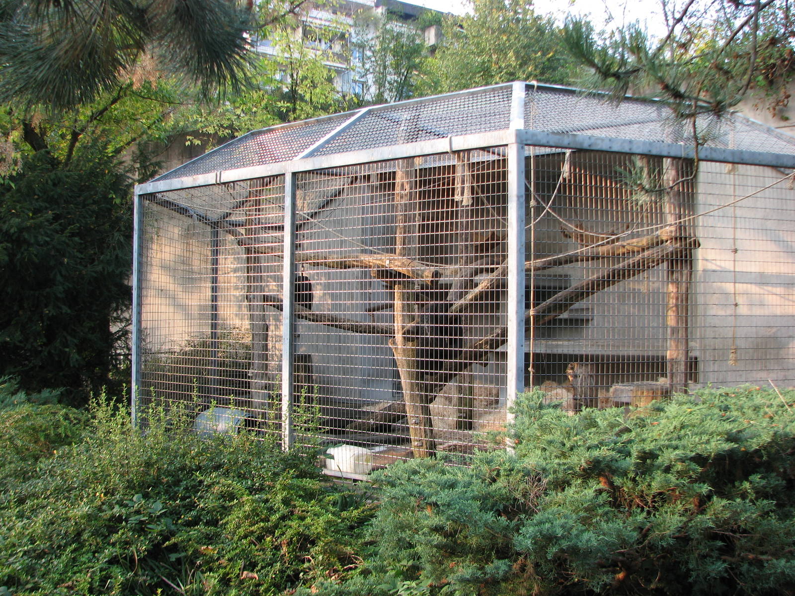 Basel Zoo 2006 - Outdoor Ape enclosure