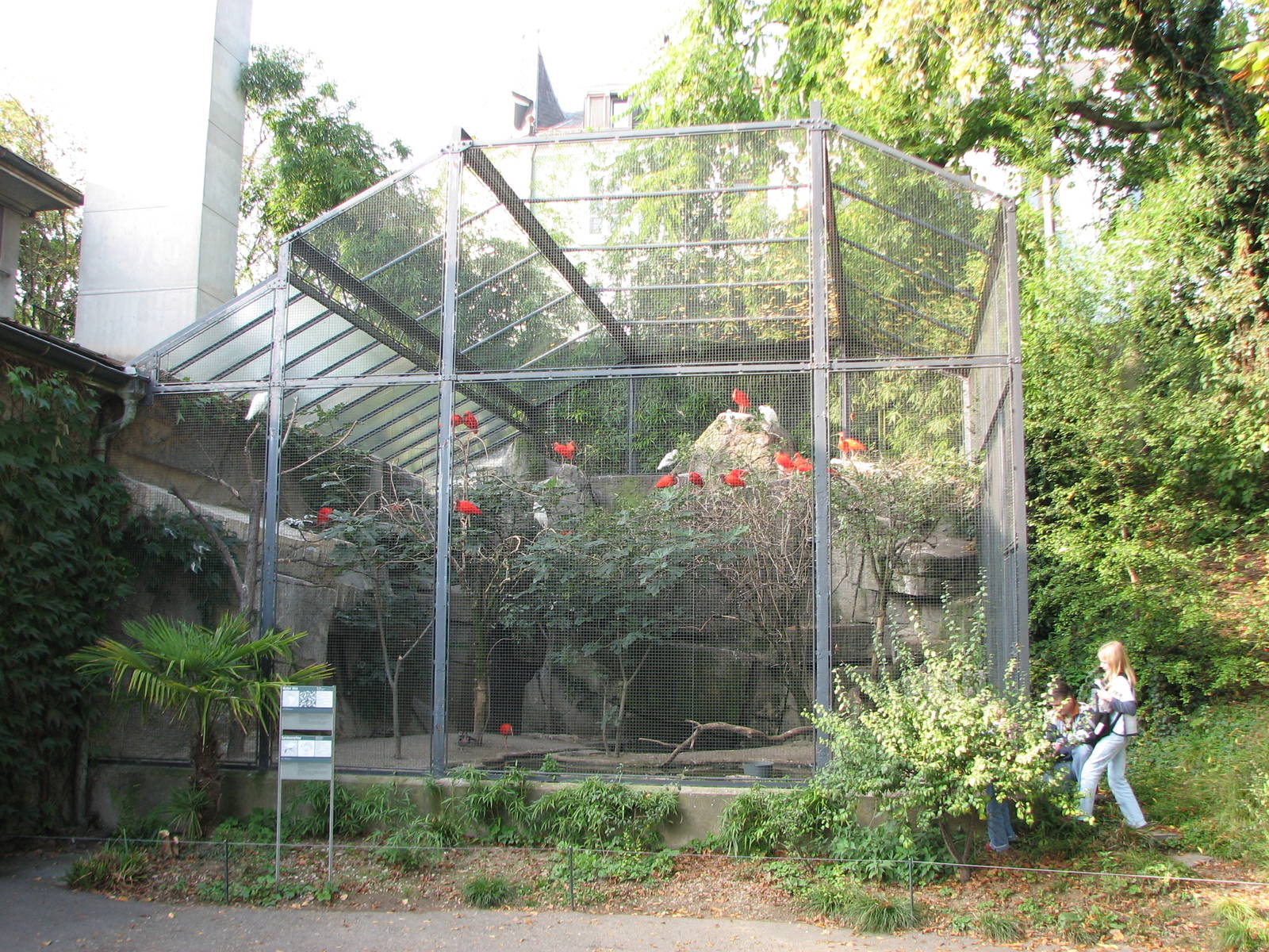 Basel Zoo 2006 - Outdoor Scarlet Ibis enclosure