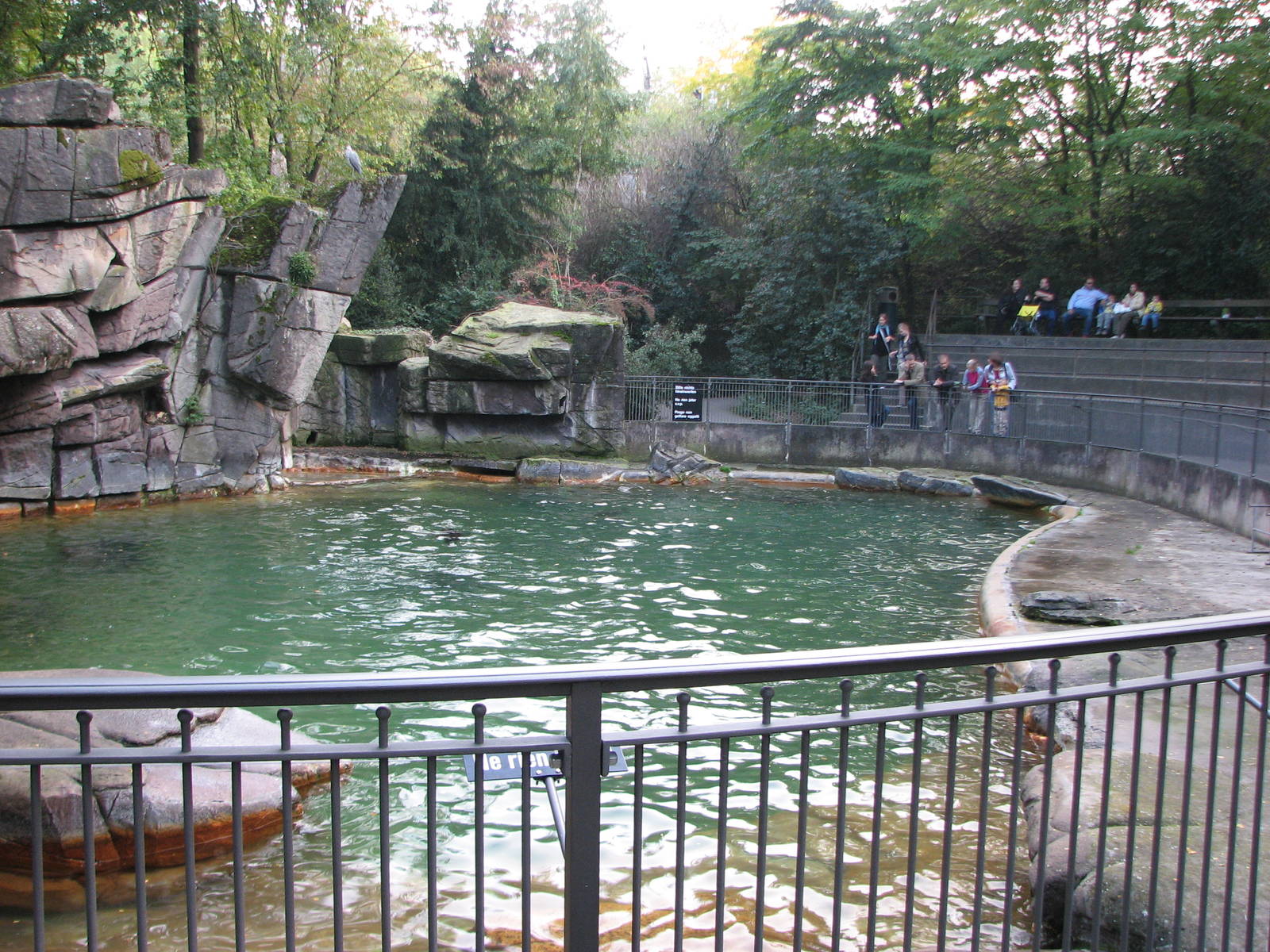 Basel Zoo 2006 - Sea Lion pool