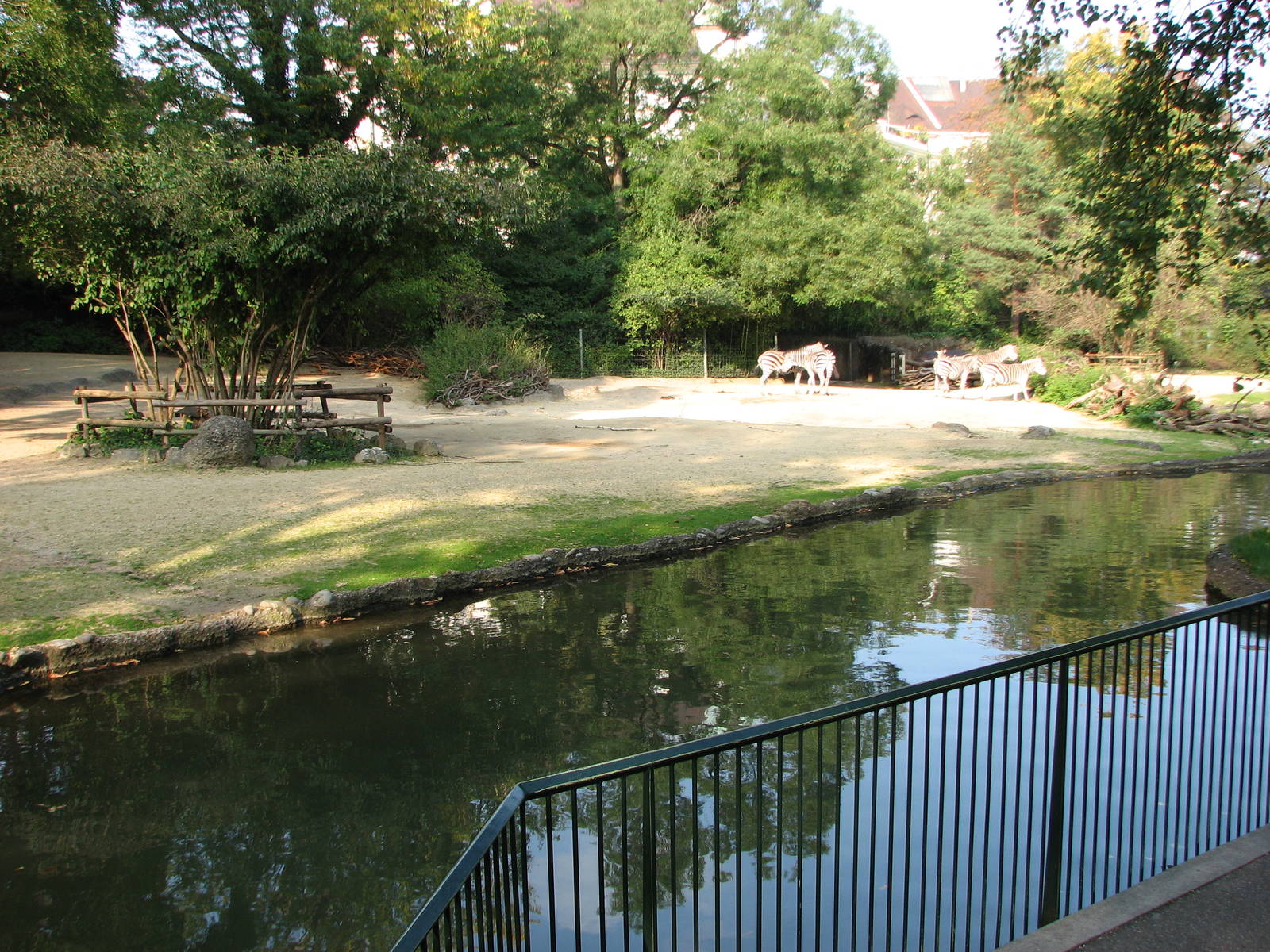 Basel Zoo 2006 - Zebra exhibit