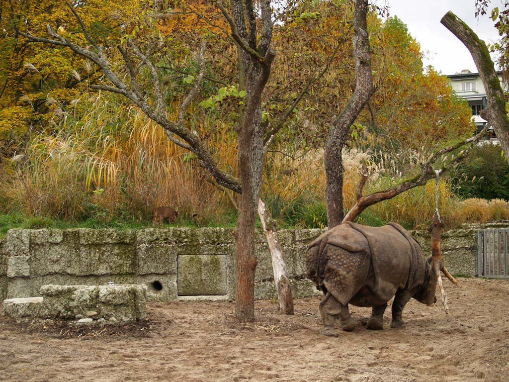 Basel Zoo - Indian rhino/Muntjac/otter exhibit (Sauter Garden)