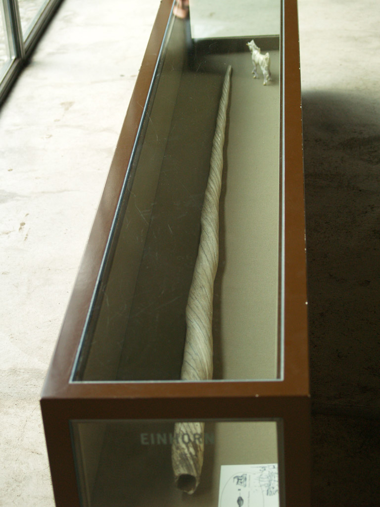 Basel Zoo - Narwhal horn (Sauter Garden)
