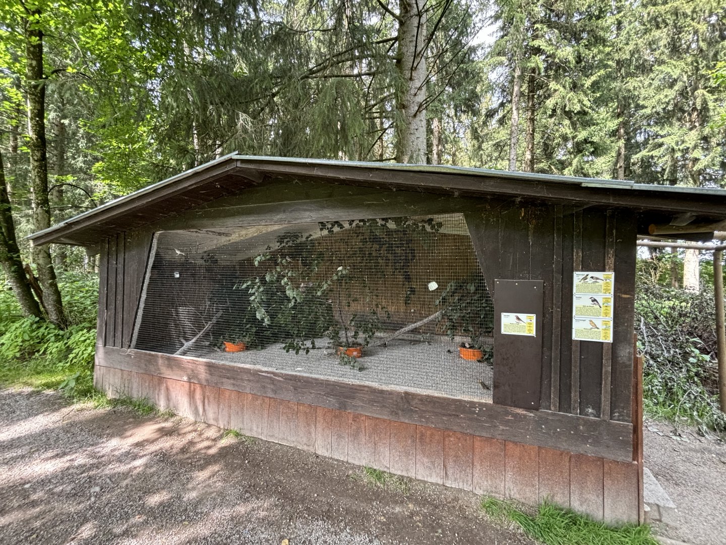 Basic Aviary at Wildpark Poing