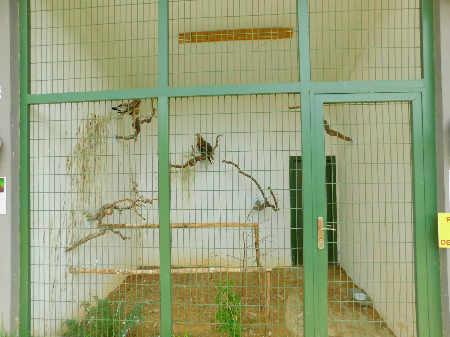 Basic Enclosure at Istanbul Bird Paradise