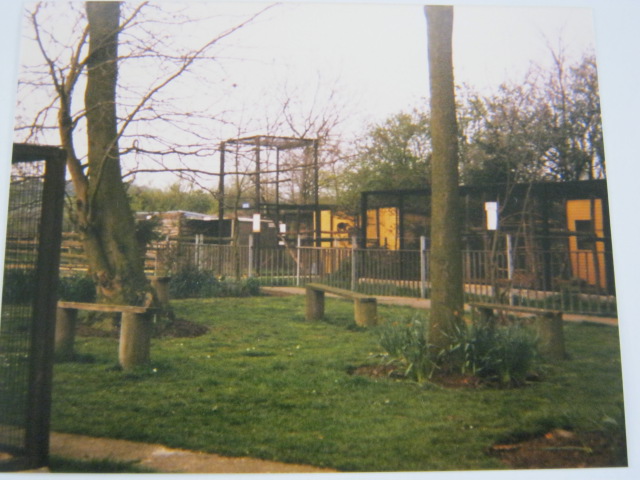 Basildon Zoo (Closed). April 1989.