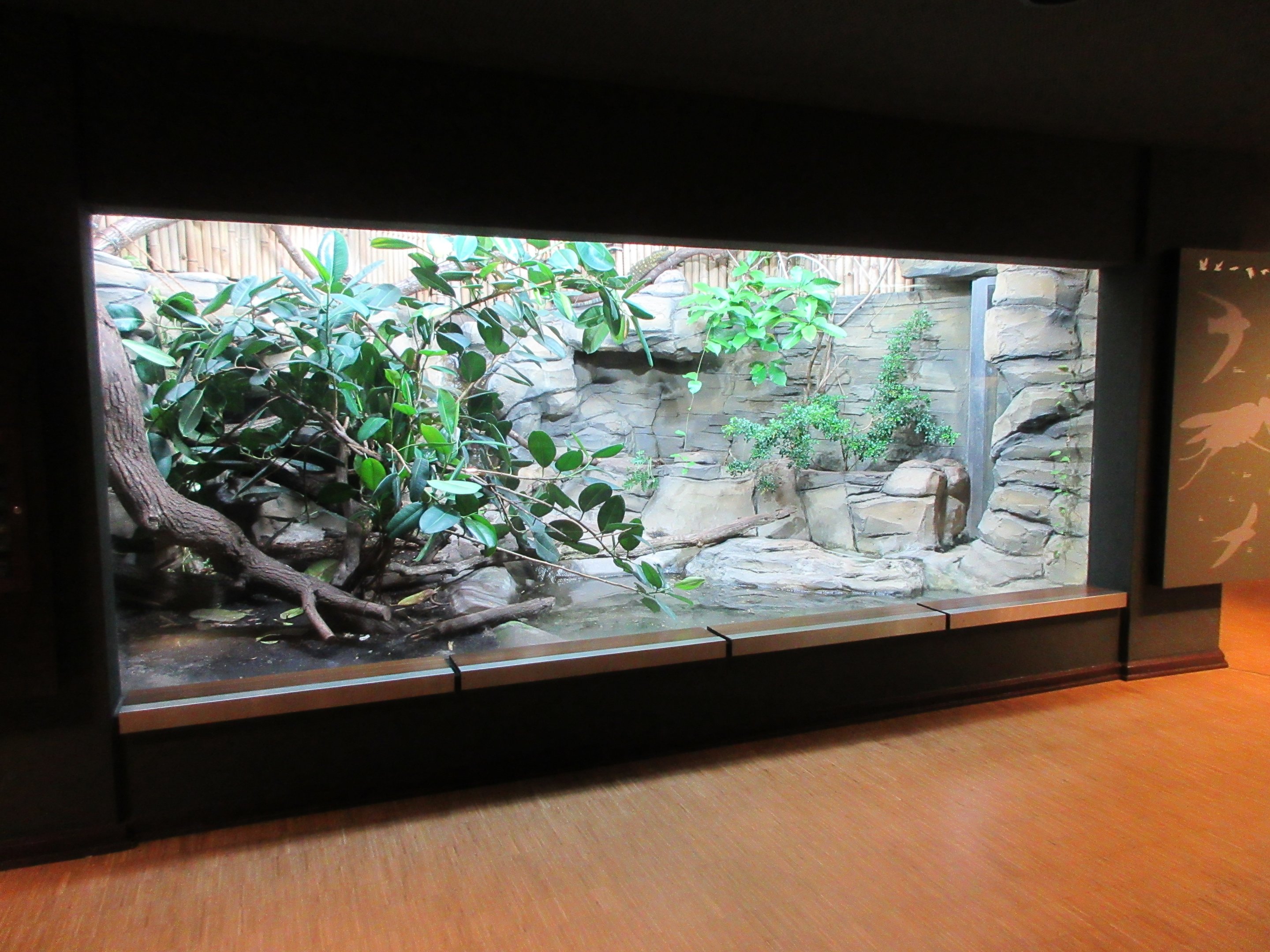 Basilisk Exhibit