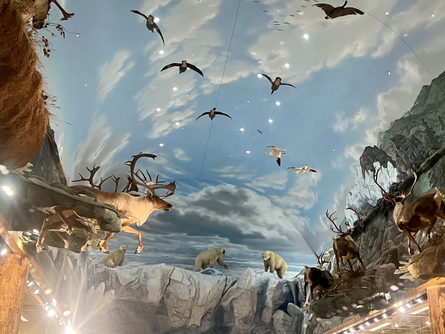 Bass Pro Shoo Anchorage