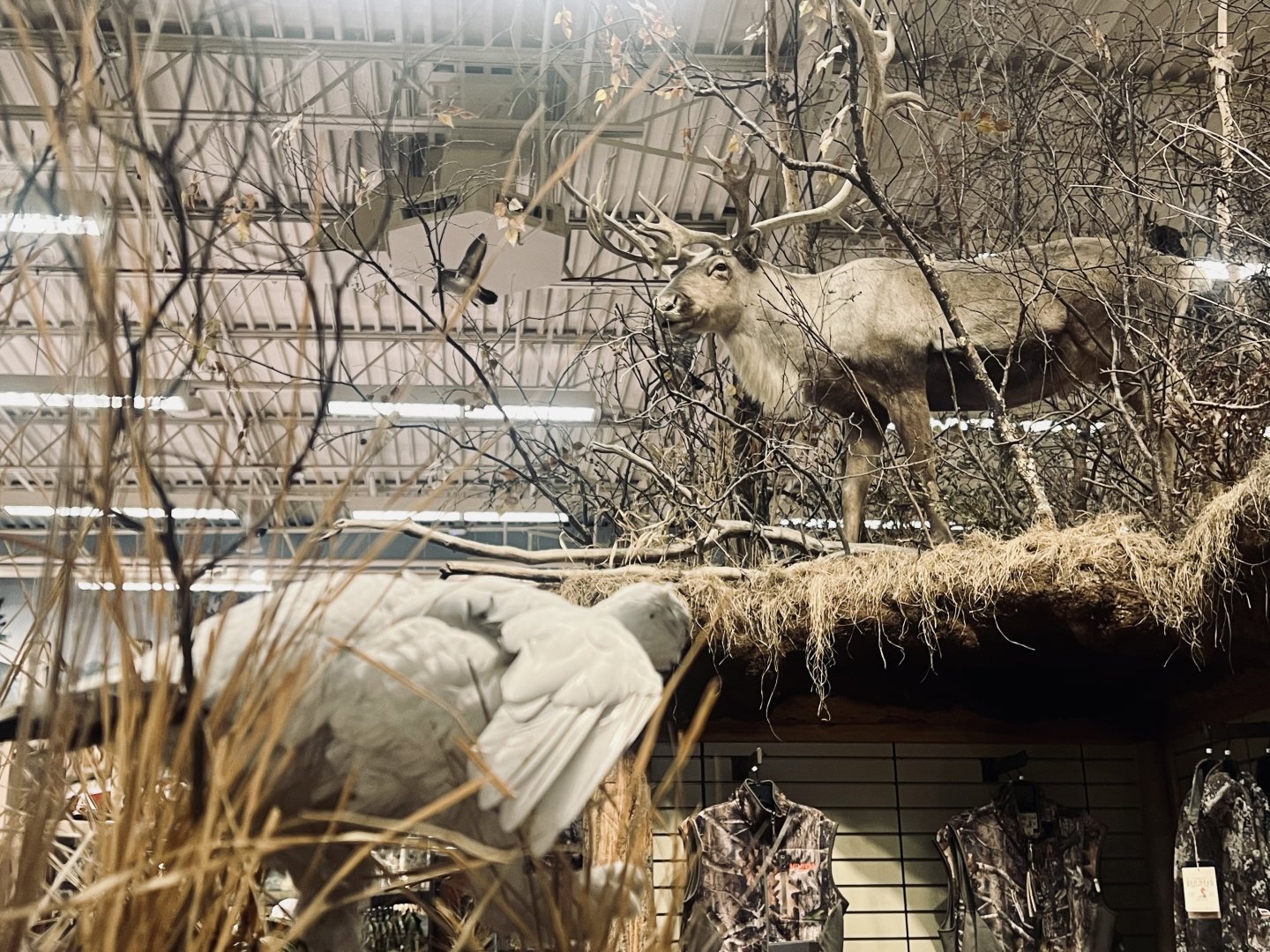 Bass Pro-Shop Anchorage