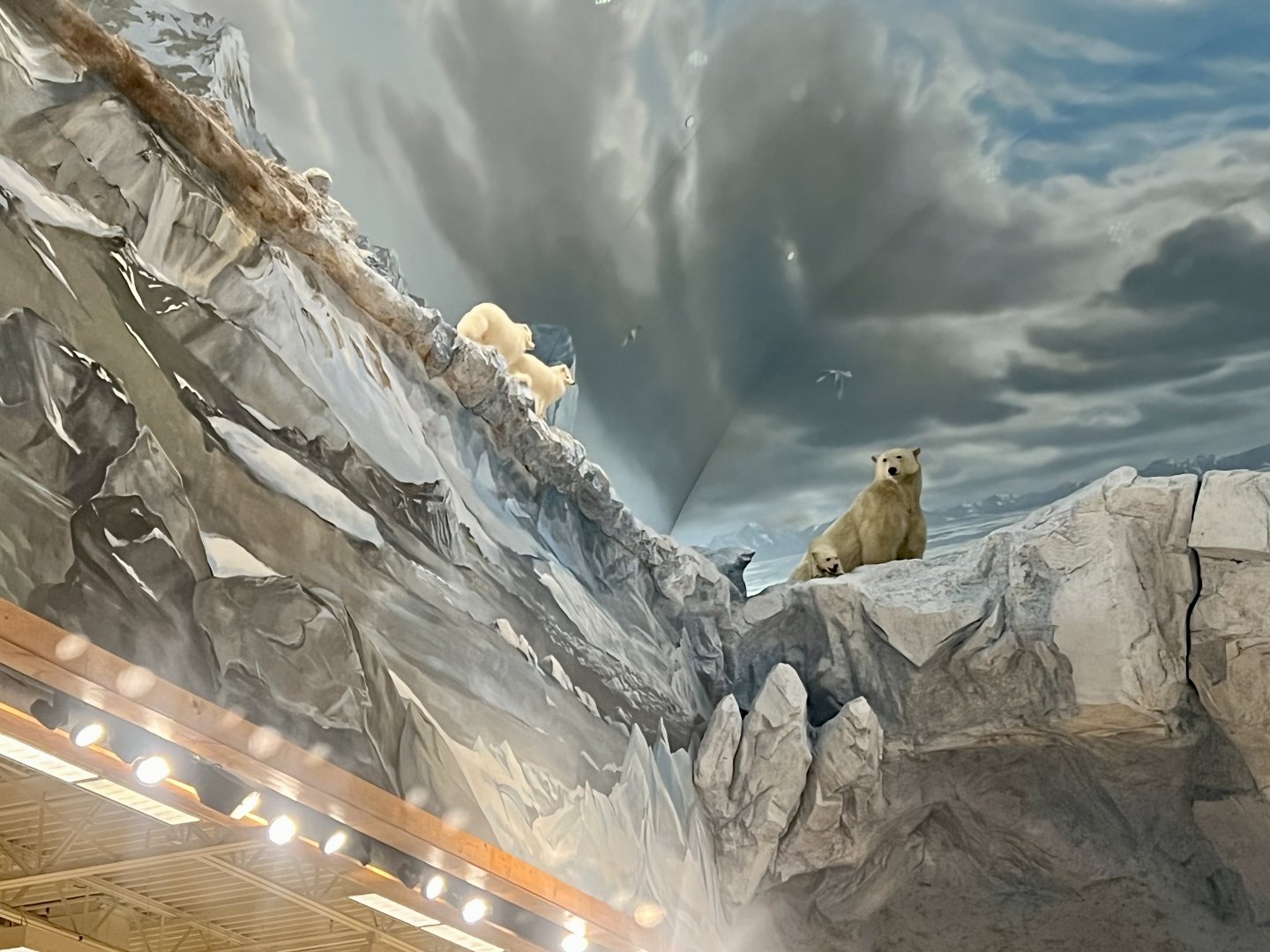 Bass Pro-Shop Anchorage