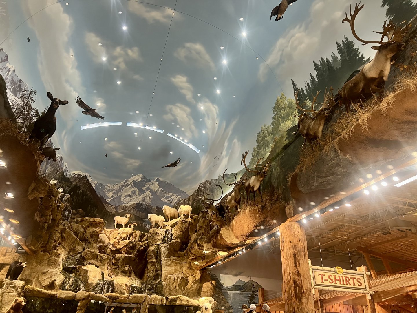 Bass-Pro Shop Anchorage