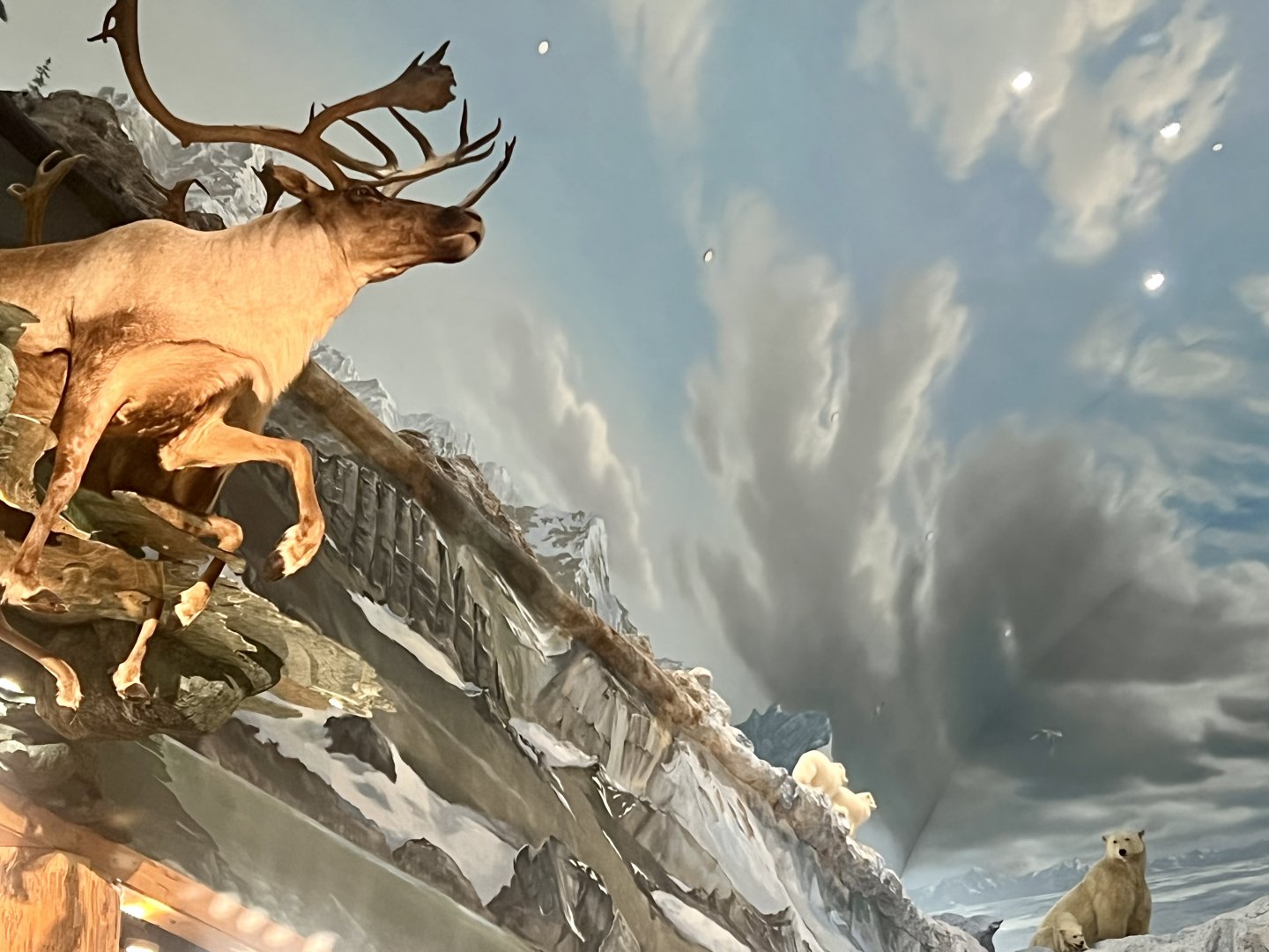 Bass-Pro Shop Anchorage