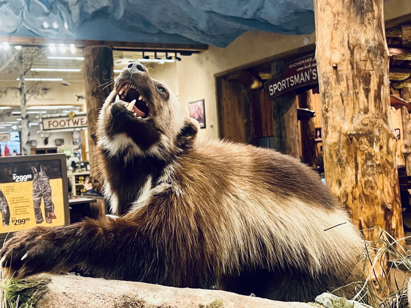 Bass-Pro Shop Anchorage