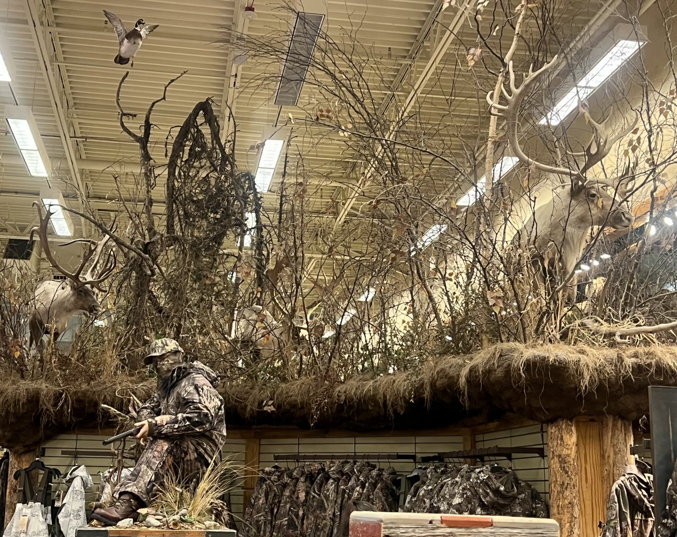 Bass-Pro Shop Anchorage