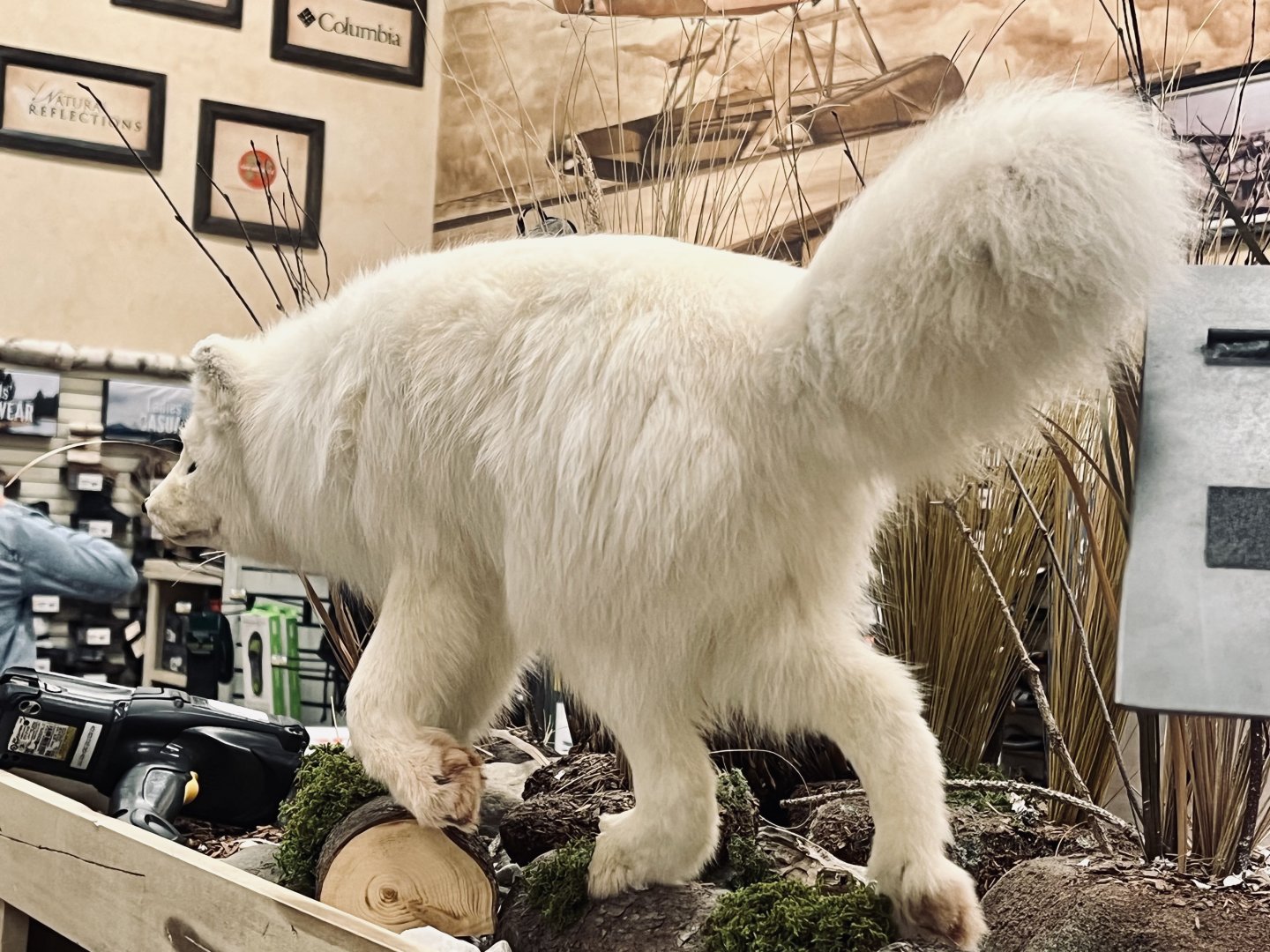 Bass-Pro Shop Anchorage