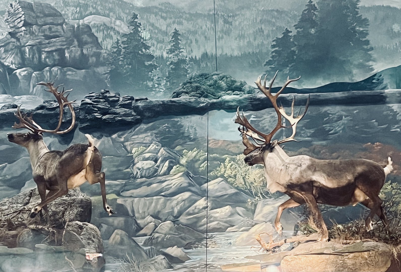 Bass-Pro Shop Anchorage