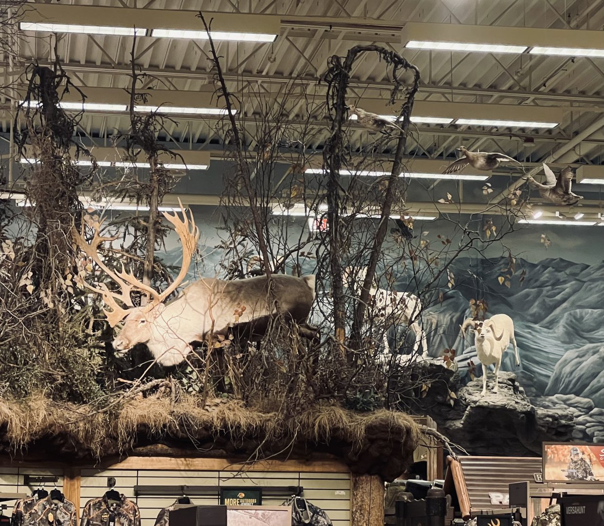 Bass-Pro Shop Anchorage