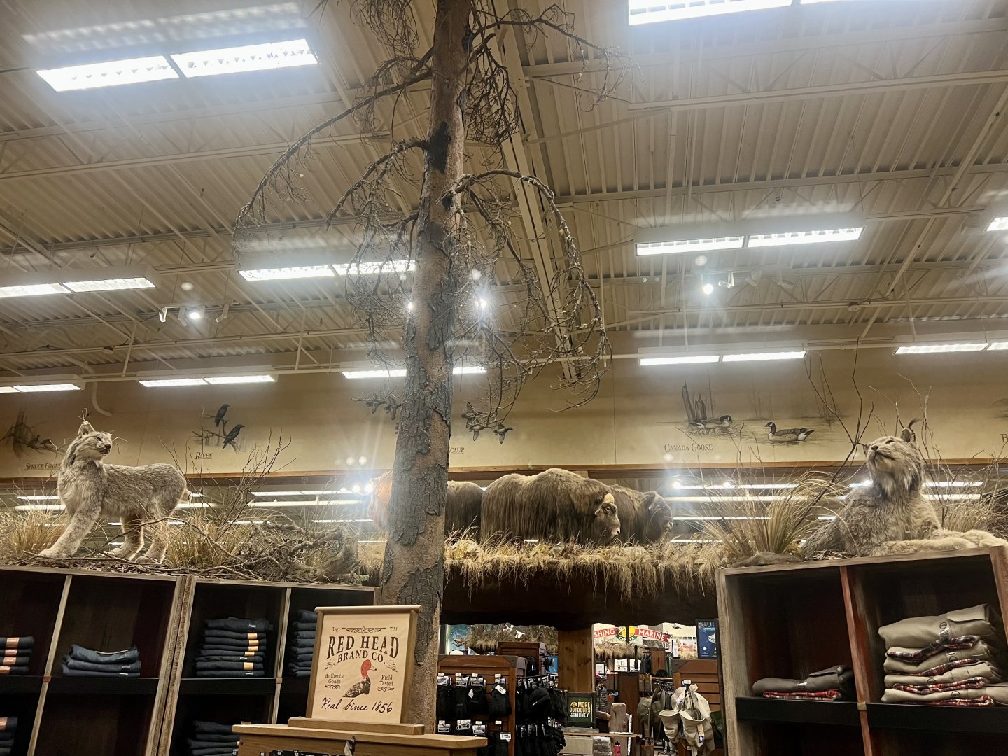 Bass-Pro Shop Anchorage