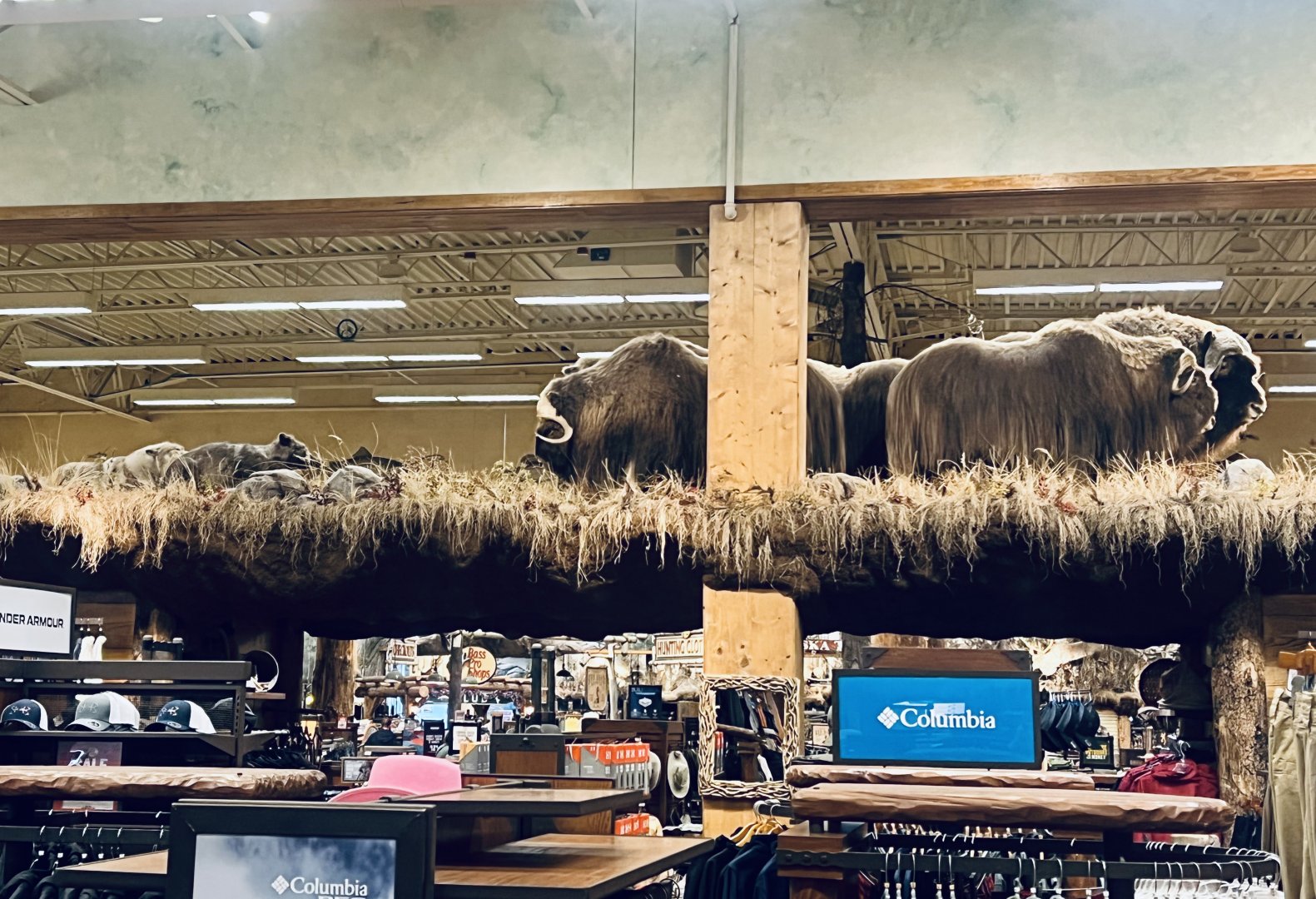 Bass-Pro Shop Anchorage