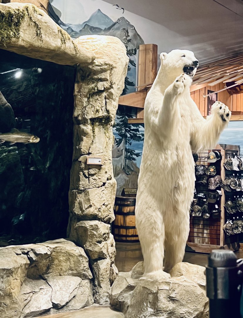 Bass Pro Shop Anchorage