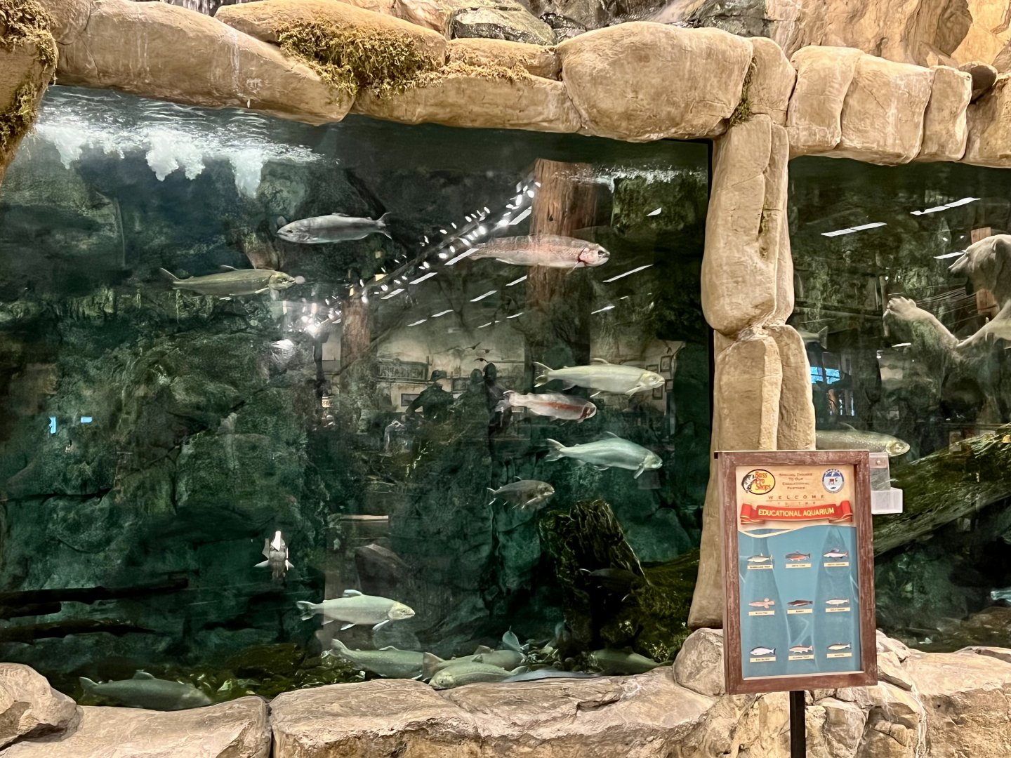 Bass Pro Shop Anchorage