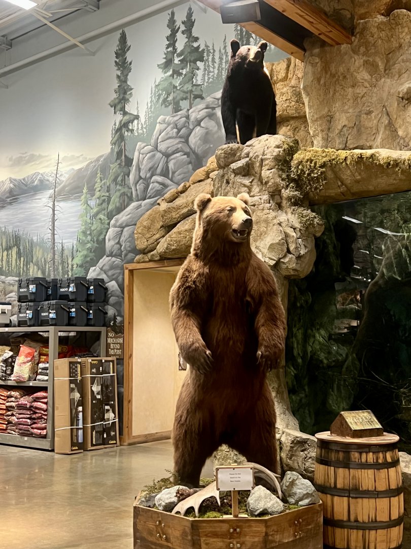 Bass Pro Shop Anchorage
