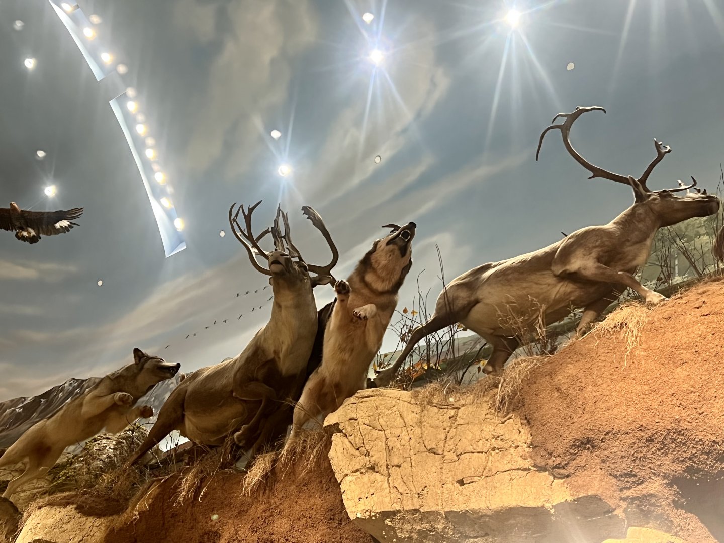 Bass Pro Shop Anchorage