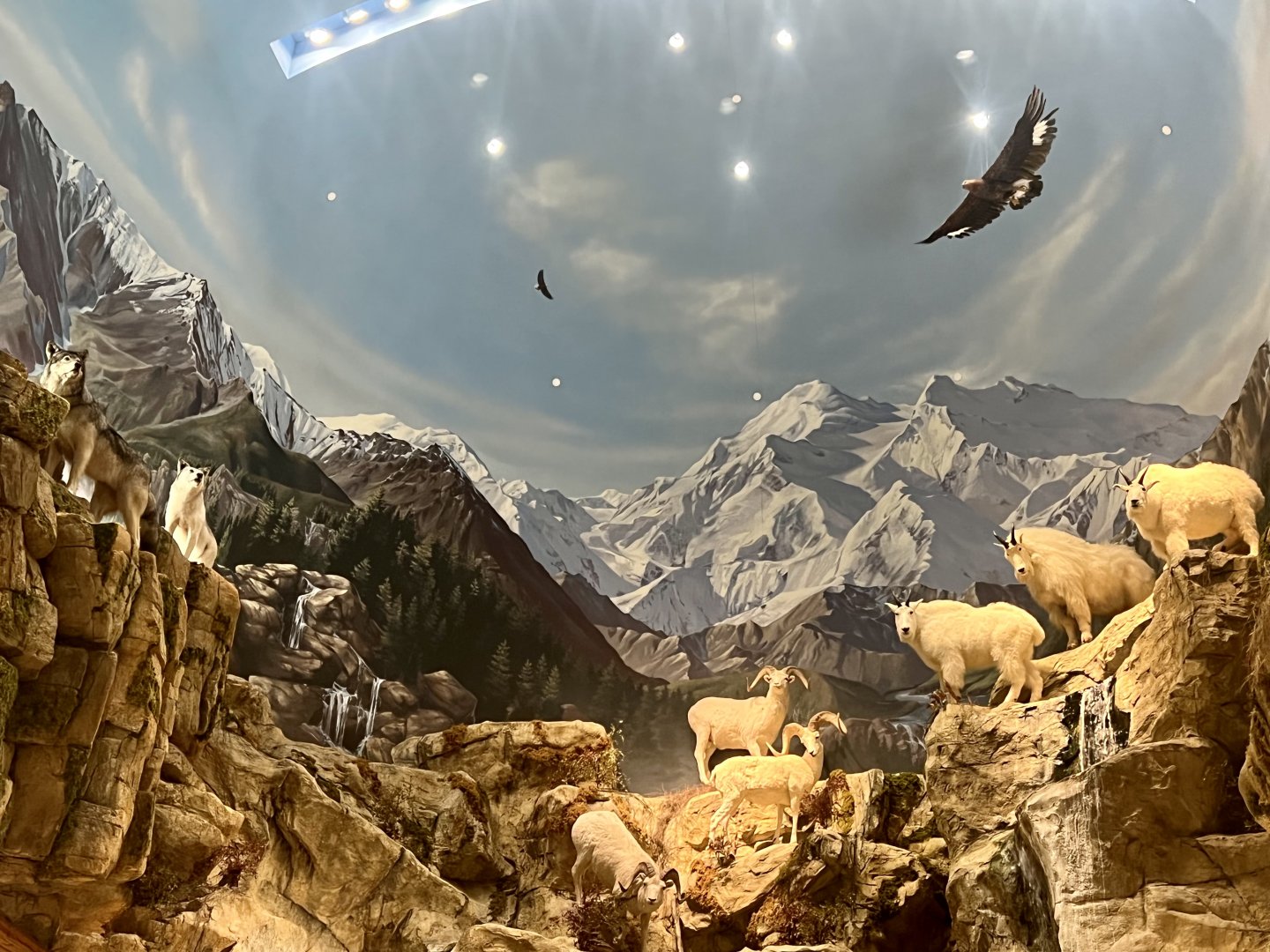 Bass Pro Shop Anchorage