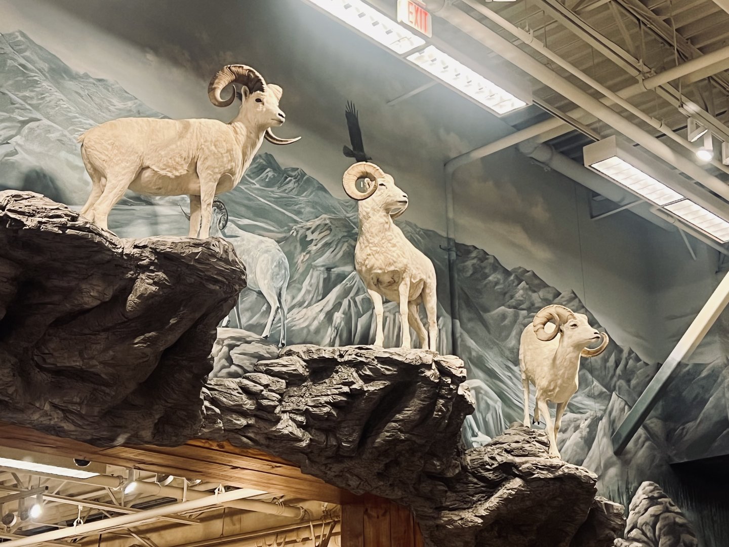 Bass-Pro Shops Anchorage