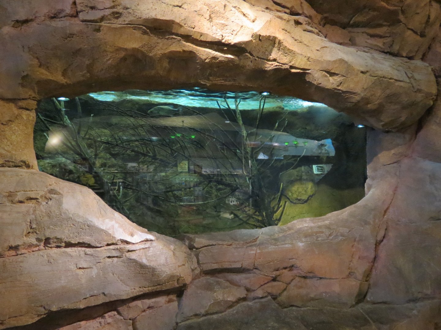 Bass Pro Shops Las Vegas - Large Open-top Tank Backside