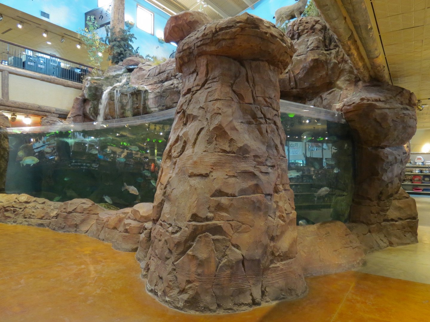 Bass Pro Shops Las Vegas - Large Open-top Tank