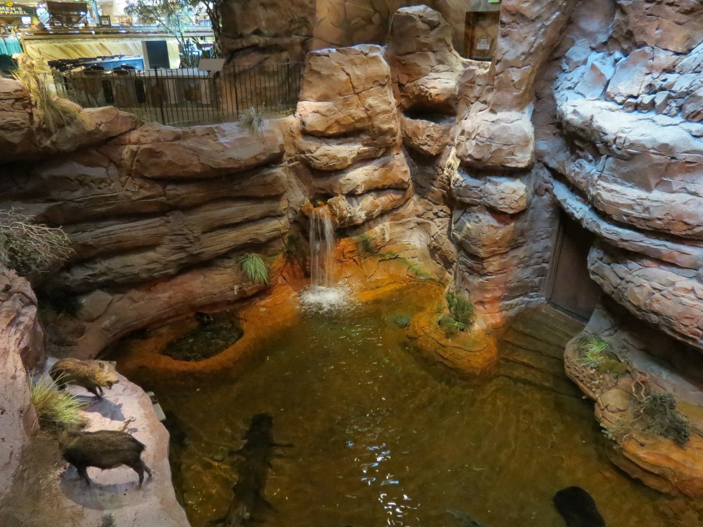 Bass Pro Shops Las Vegas - Native Pond