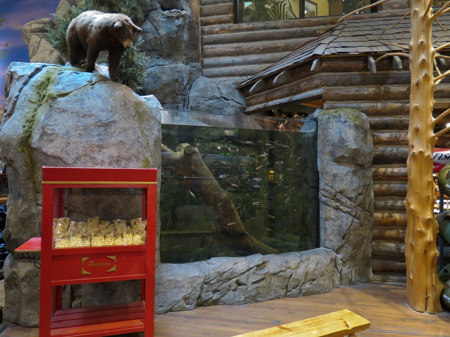 Bass Pro Shops Las Vegas - Small Open-top Tank