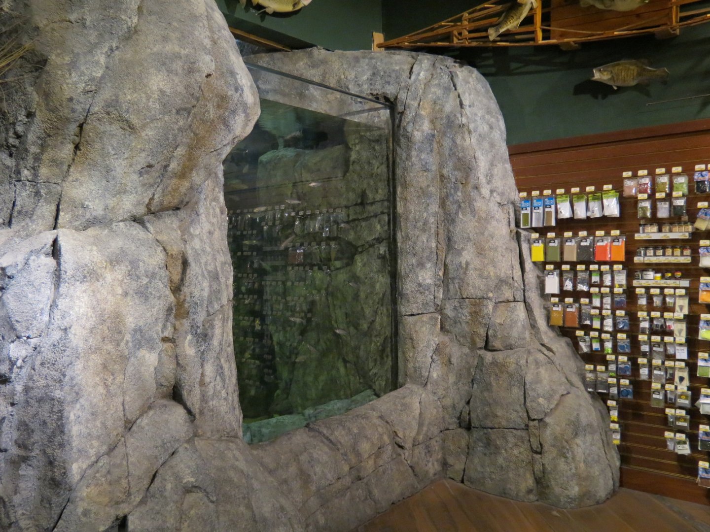 Bass Pro Shops Las Vegas - Small Open-top Tank