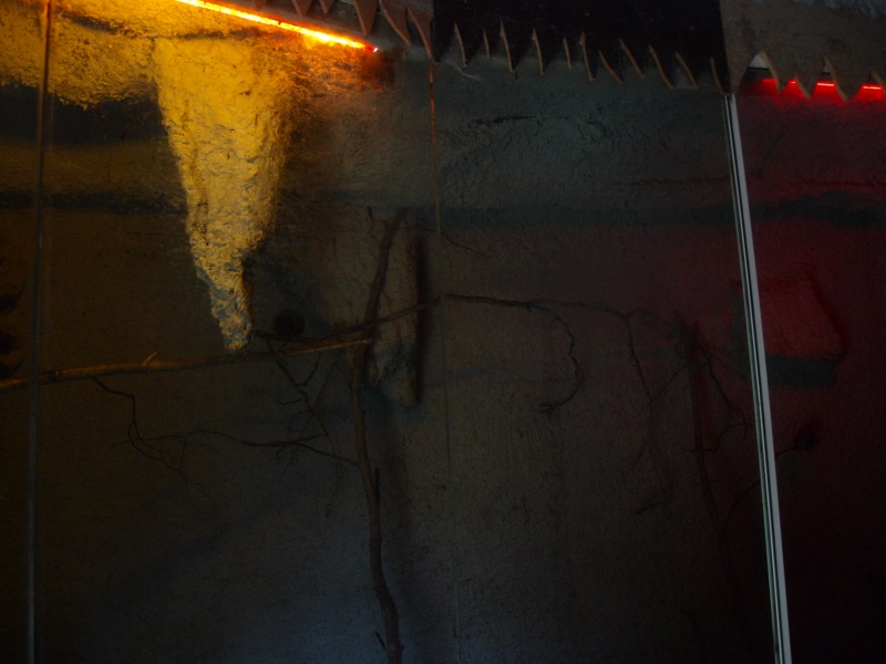 Bat cave (April 19th, 2015)