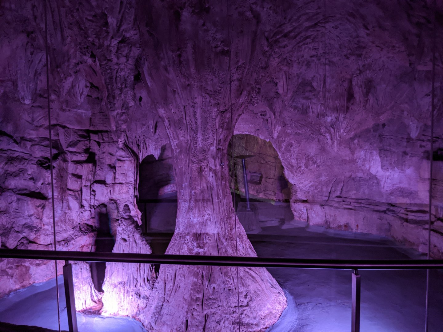 Bat cave - reopening 31-08-2020