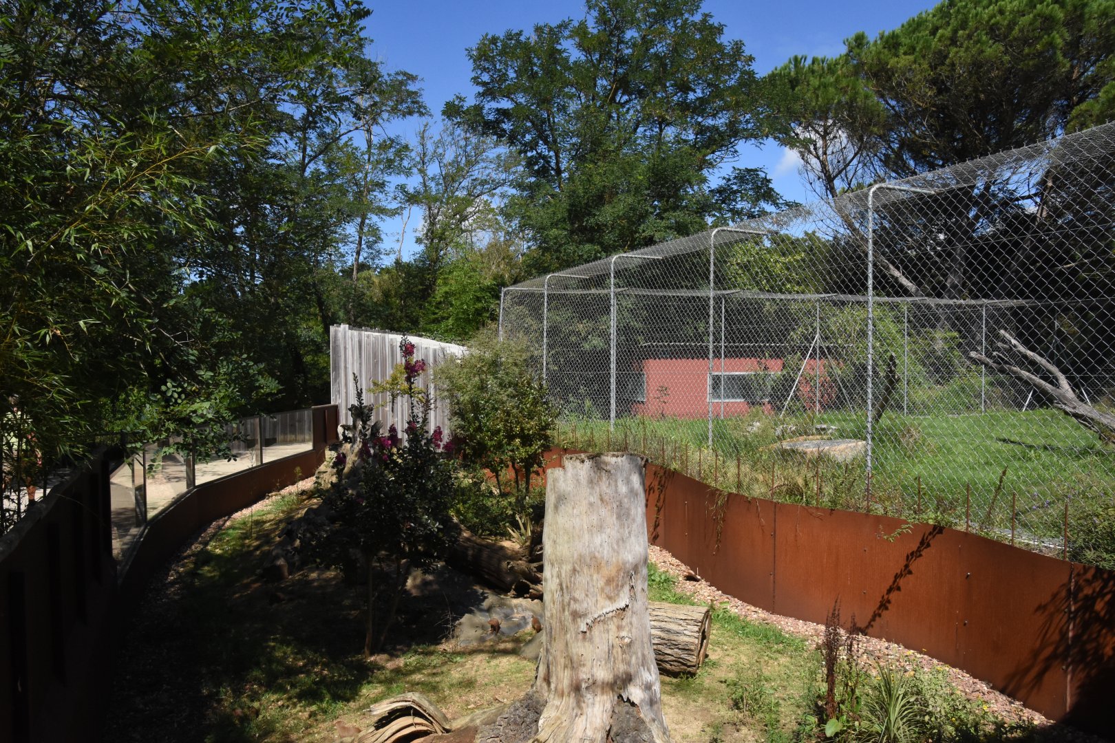 Bat-eared Fox and Dwarf Mongoose enclosure