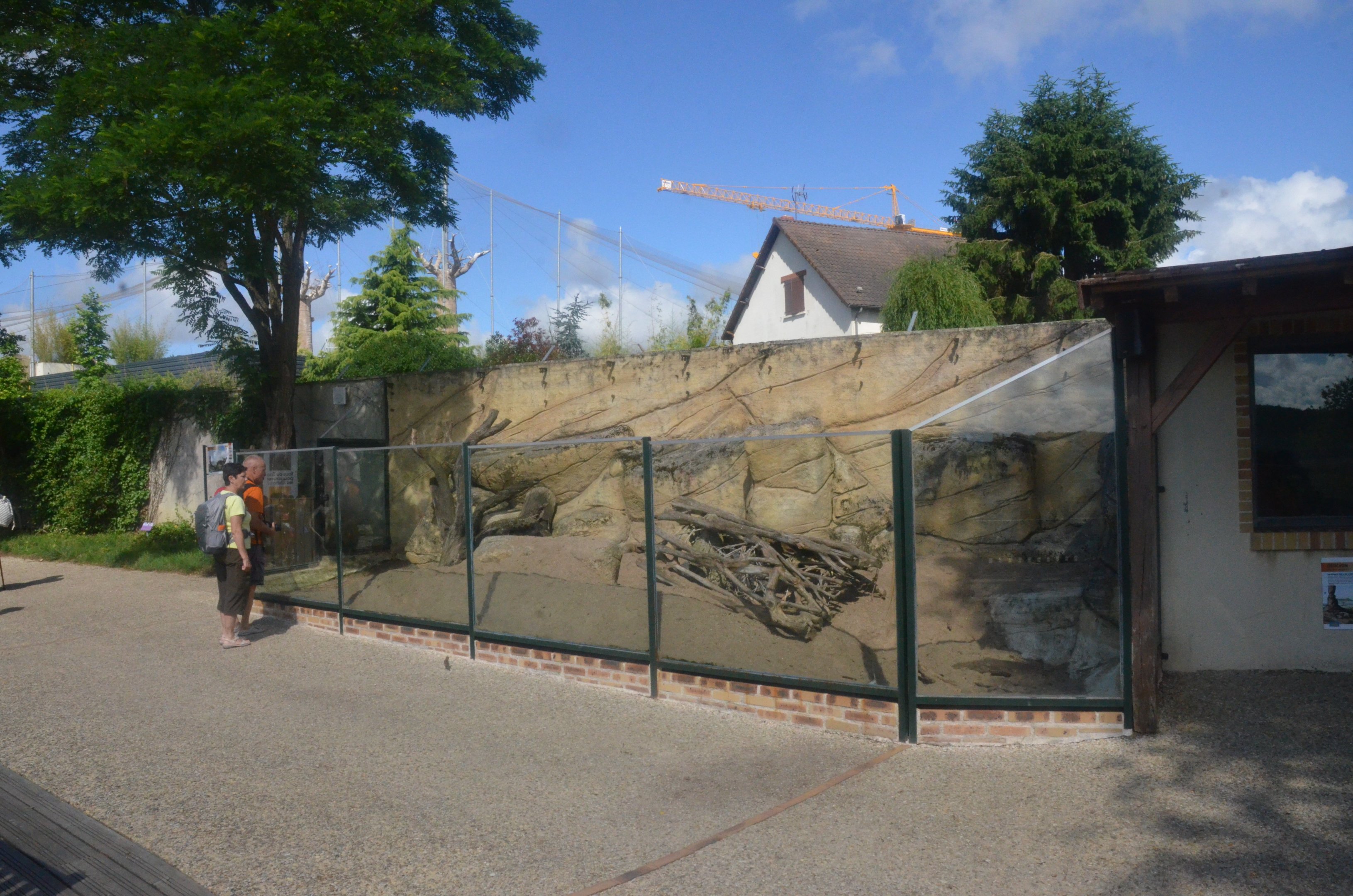 Bat-eared Fox Enclosure at Beauval, 12/06/18