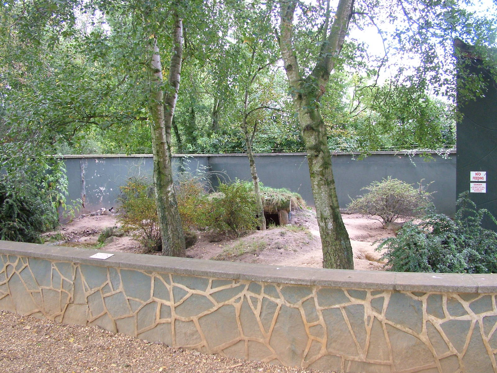 Bat-eared Fox enclosure at Twycross 13/09/09