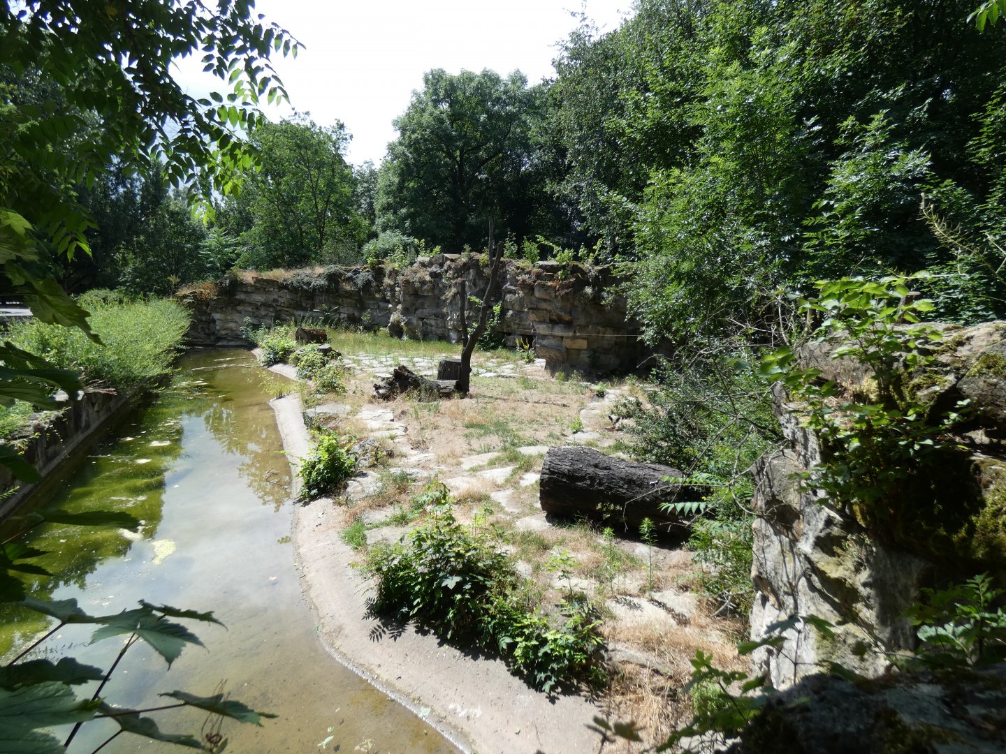 Bat-eared Fox enclosure