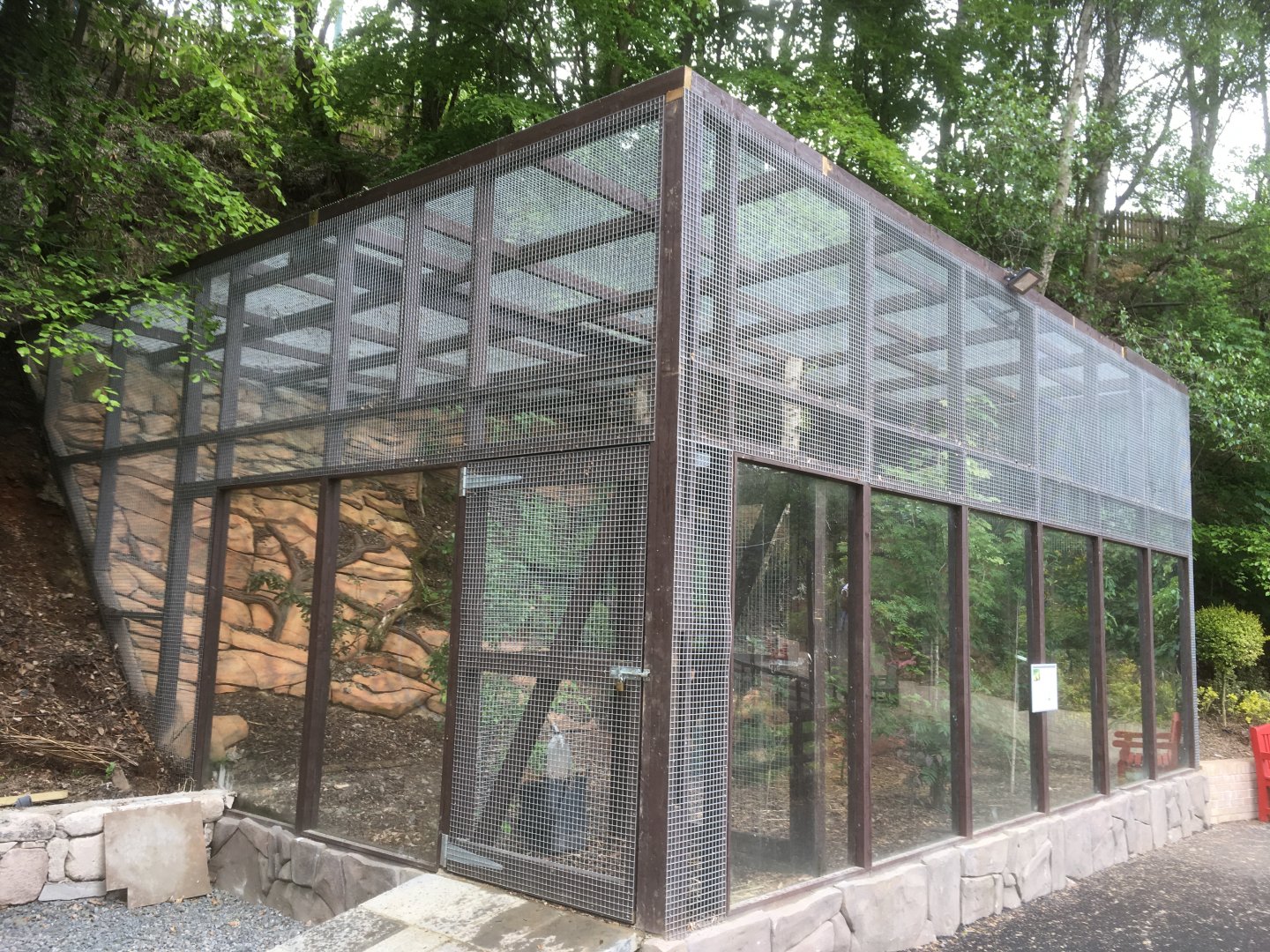 Bat eared fox enclosure