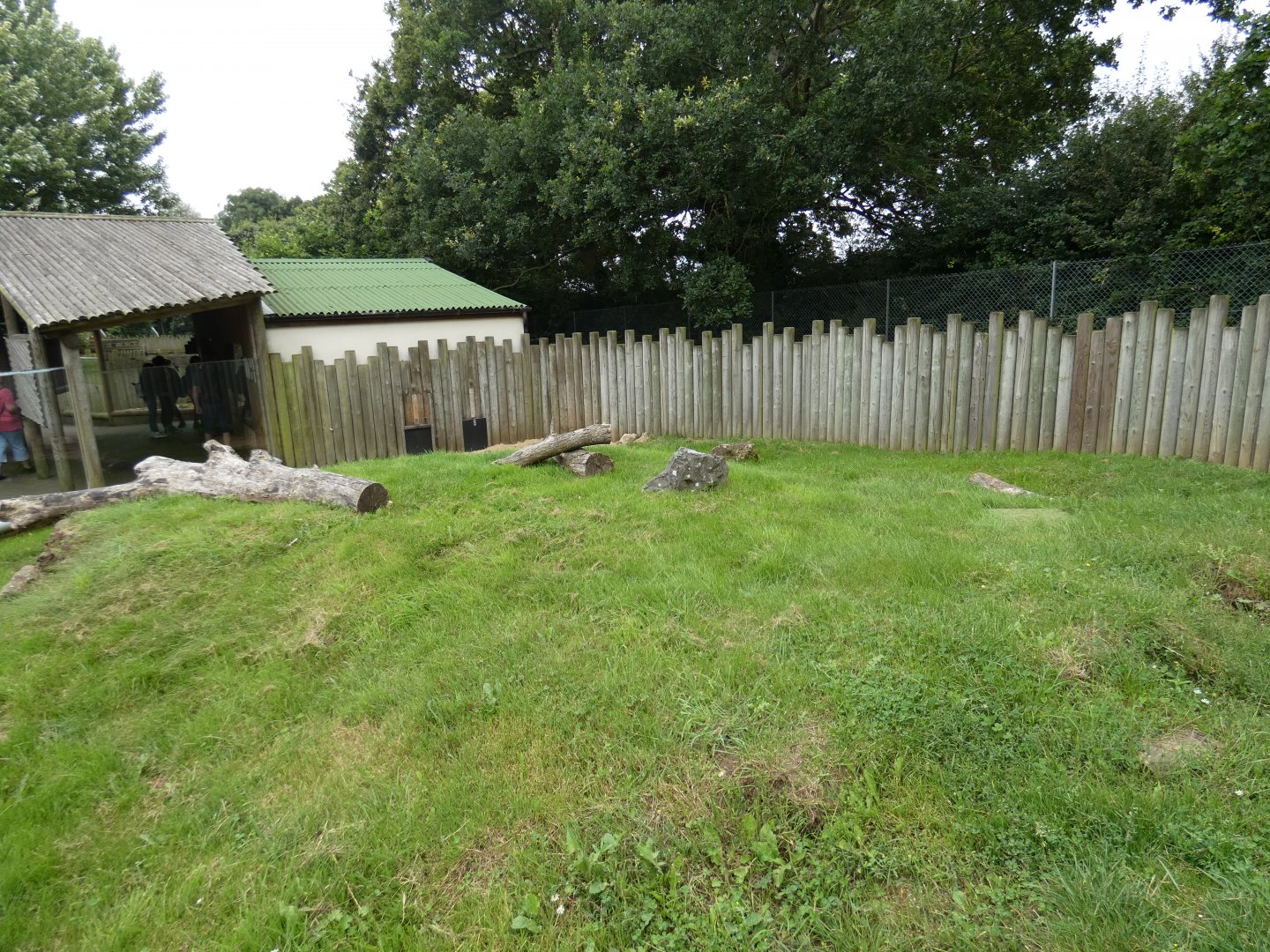 Bat-eared fox enclosure
