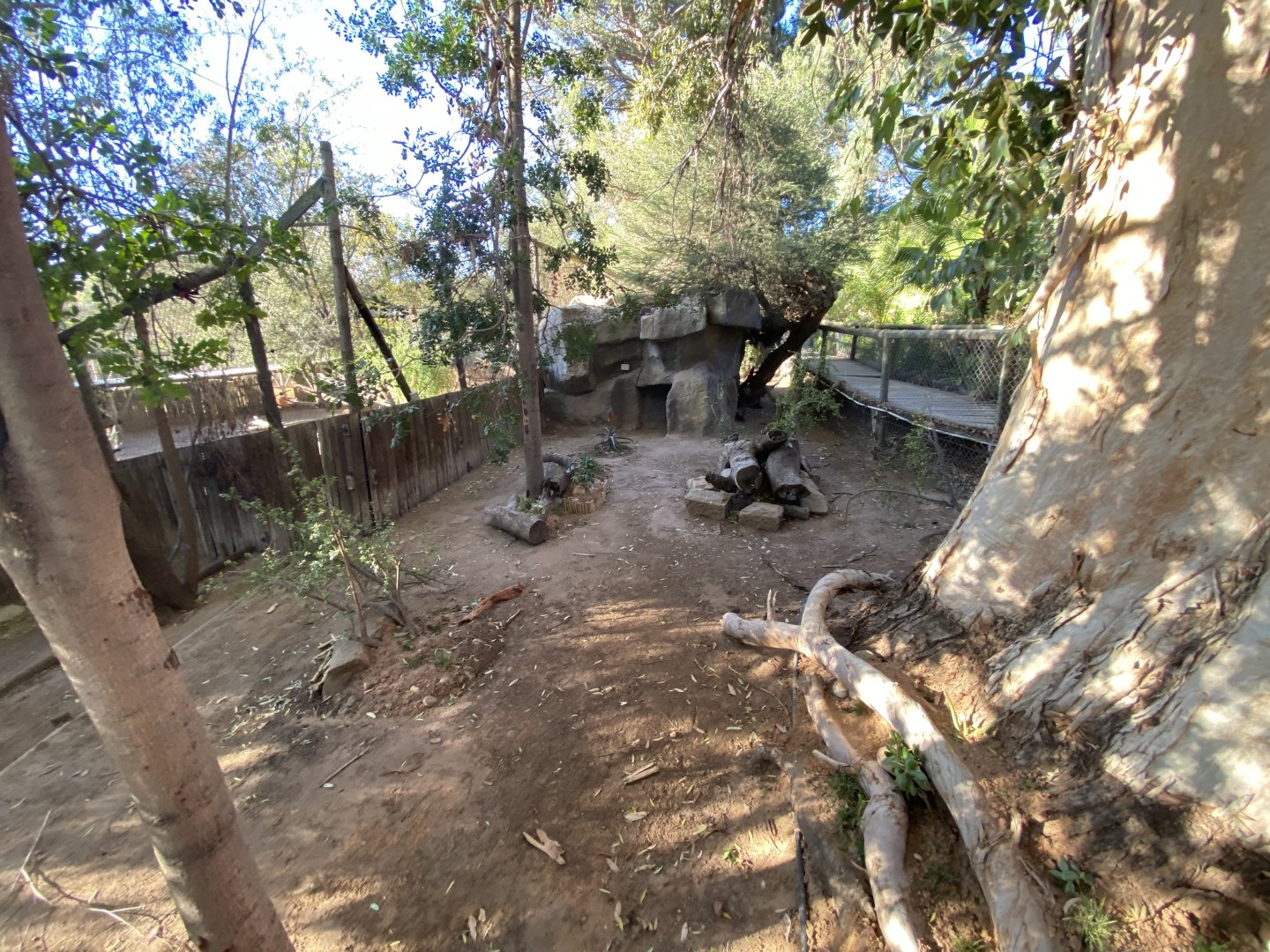 Bat-eared fox enclosure