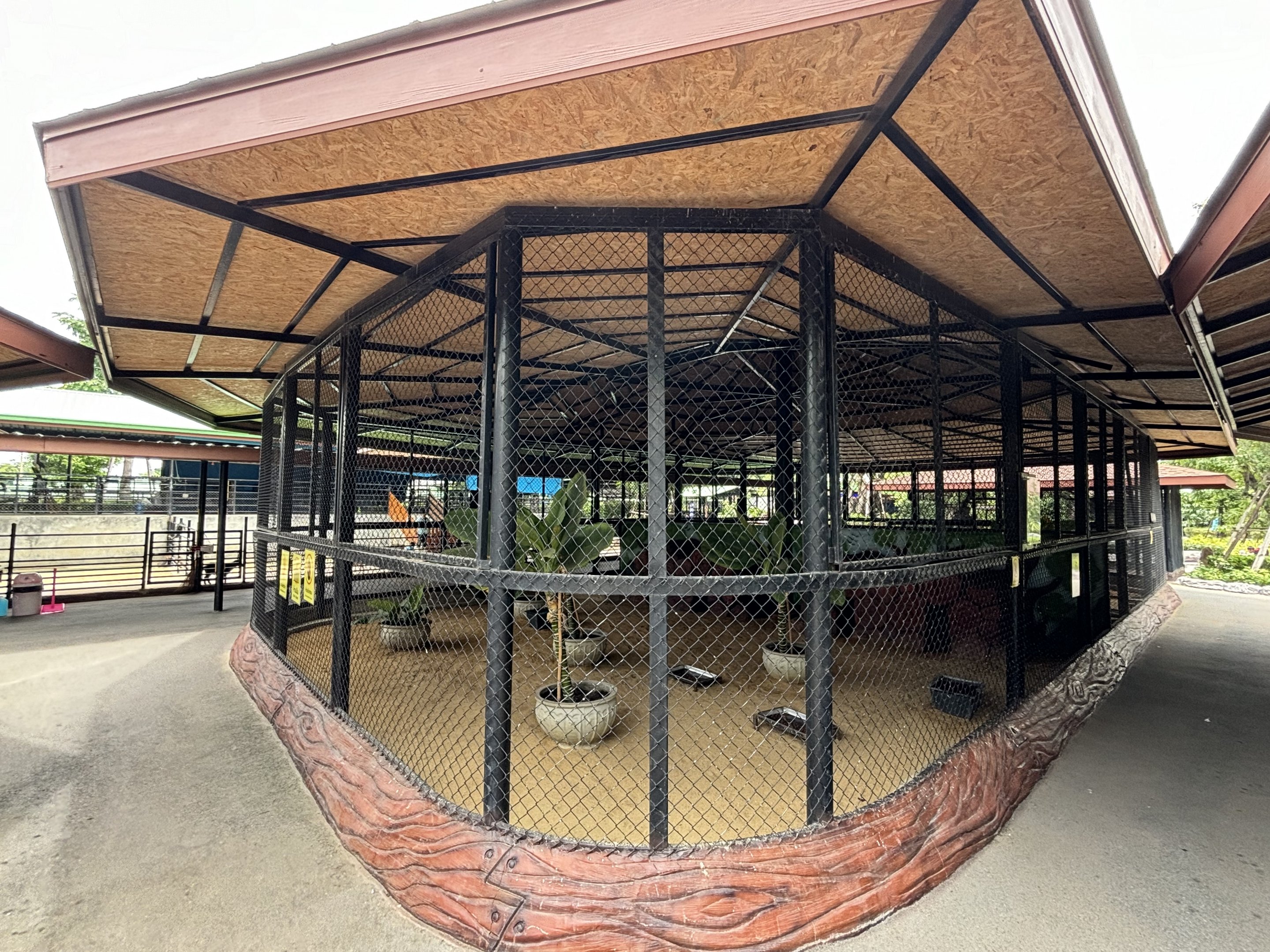 Bat-eared Fox Exhibit - Lion Park